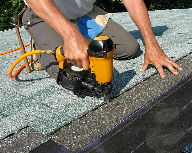 Best Roof Restoration Services  in Bottineau, ND