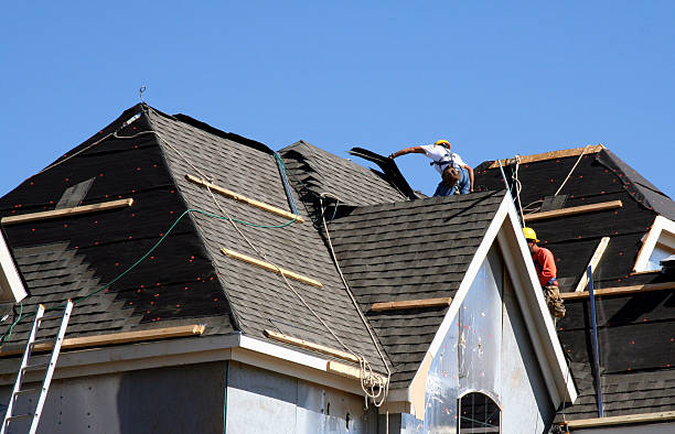Best Storm Damage Roof Repair  in Bottineau, ND