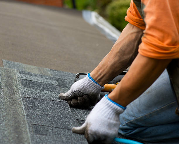 Best Roof Gutter Cleaning  in Bottineau, ND