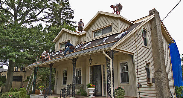 Best Metal Roofing Contractor  in Bottineau, ND