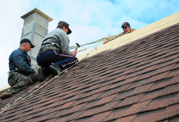 Best Commercial Roofing Services  in Bottineau, ND