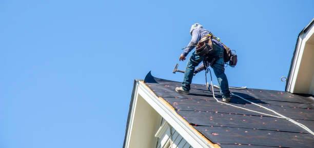 Best Flat Roof Repair Services  in Bottineau, ND
