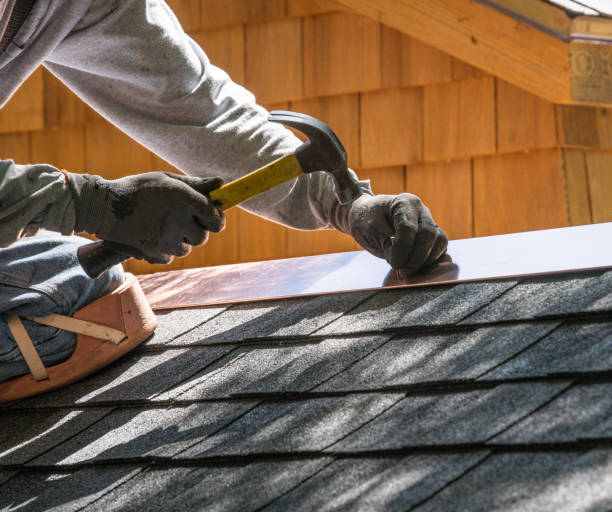 Best Flat Roof Repair Services  in Bottineau, ND
